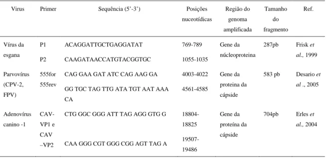 Tabela  1:  Sequências dos oligonucleótidos iniciadores usados nos  ensaios de PCR e RT-PCR, posições  nuceotídicas, regiões do genoma ampificadas, e tamanho dos fragmentos 