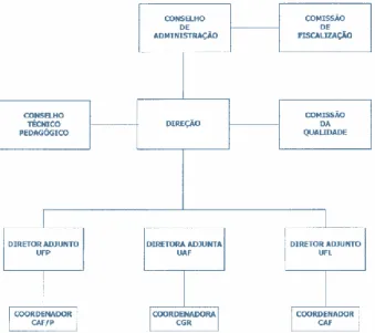 Figura 1 - Organograma 
