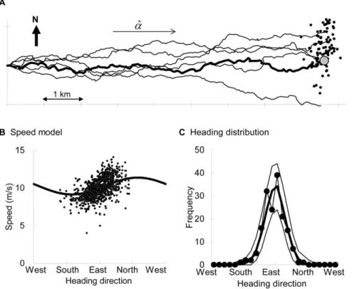 Figure 4. Example 1: outward flight. (A) Observed GPS trajectory of F2 (bold line, the final location is indicated by the large gray circle), five examples of simulated trajectories (thin lines), 100 examples of the final locations (dots) of 1000 simulated