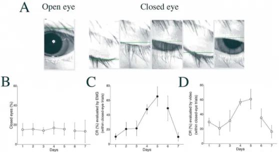 Fig 8. Changes in CR expression in cases of closed eyes. (A) Representative images of an “ open eye ” and a “closed eye” as judged by the video-tracking system