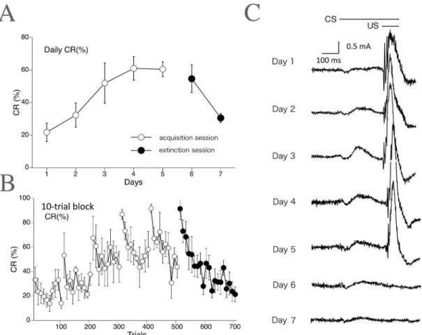 Fig 3. Delay eyeblink CR incidence (%) calculated across trials in monkeys (EMG data)