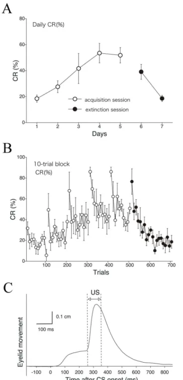 Fig 5. Delay eyeblink CR% in monkeys obtained by high-speed video analysis. The CR incidence (CR