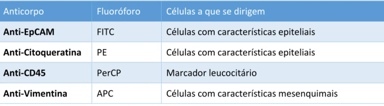Tabela 6 - Painel de marcação para identificação das CTCs por citometria 