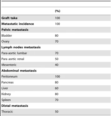 Table 1. Tumor engraftment and tumor progression.