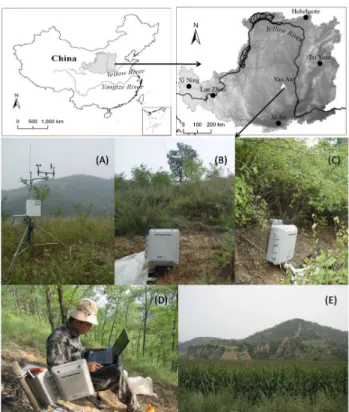 Fig. 1. Location of the study area and the typical land cover types: