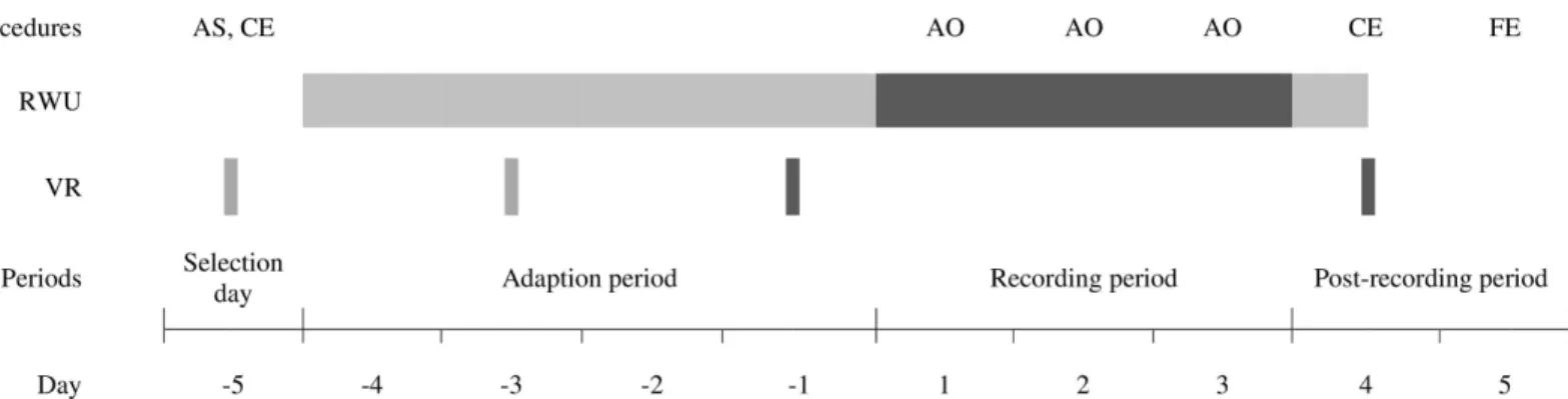 Fig 1. Schematic representation of the experimental procedure per study group. Accelerometers and noseband sensors (RumiWatch-units = RWU) are either attached (light grey) or attached and data recorded (dark grey)