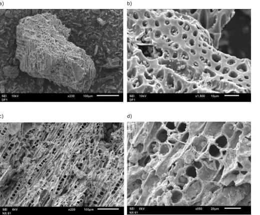 Fig. 2. High resolution images of Eucalyptus wood biochar (particle size ≤ 2000 µm) before application (a, b) and 2 years after application into a sandy Dystric Plinthosol (c, d).