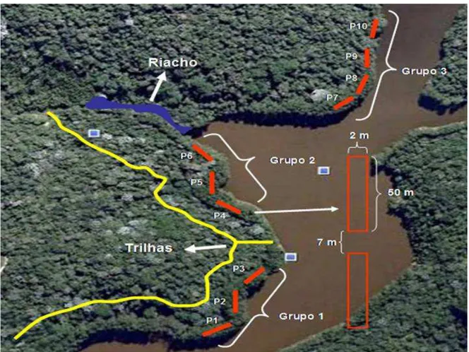 Figura 2. Localização aproximada das áreas amostrais no Núcleo Cabuçu, Parque Estadual da Cantareira, Guarulhos, SP,  Brasil
