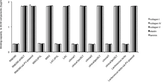 Figure 1. Binding capacity of isogenic strains from various genetic backgrounds to ECM components