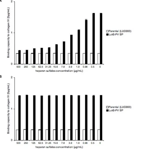 Figure 3. Inhibition of adhesion to collagen IV by heparan sulfates. Isogenic strains of Staphylococcus aureus examined for their binding capacity (Y-axis, absorbance reading at 540 nm) to collagen IV (Sigma) coated on 96-well plates, at concentrations of 