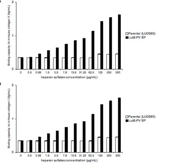 Figure 6. Binding capacity of isogenic strains to in-house collagens V and I after addition of increasing concentrations of heparan sulfates