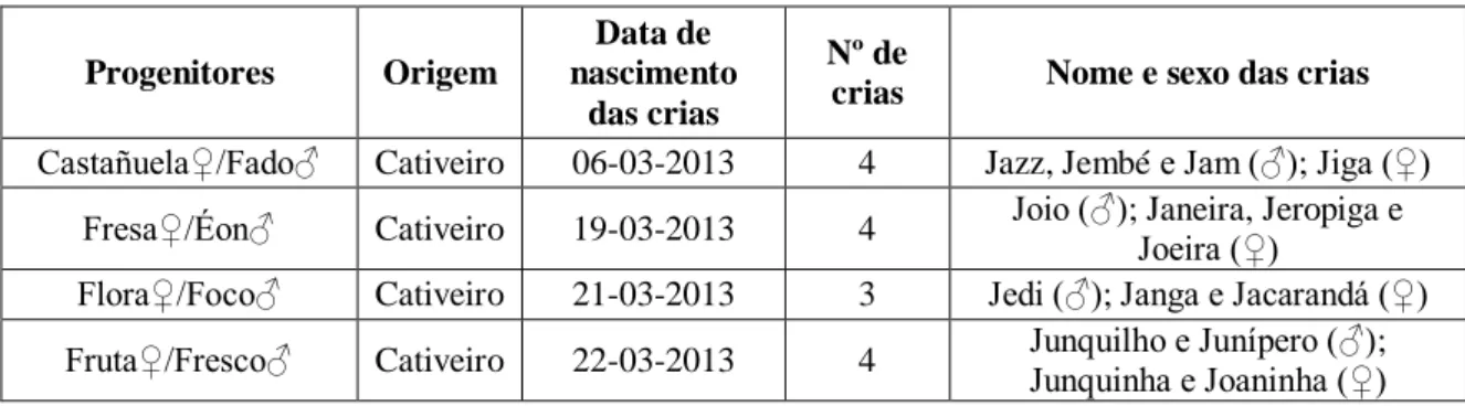 Tabela  2.  Progenitores  das  crias  e  a  sua  origem,  data  de  nascimento,  número,  nome  e  sexo  das  crias  amostradas em 2013, no CNRLI