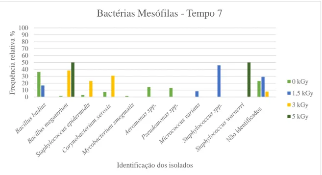 Figura 5.5: Bactérias mesófilas presentes nas framboesas não tratadas após 7 dias de armazenamento e 7 dias após trata- trata-mento (t 7 ) a várias doses de radiação por feixe de eletrões