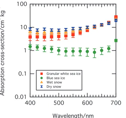 Fig. 2. Comparison of calculated absorption cross-sections (σ abs + (λ)) for granular white ice, blue ice, wet snow and dry snow