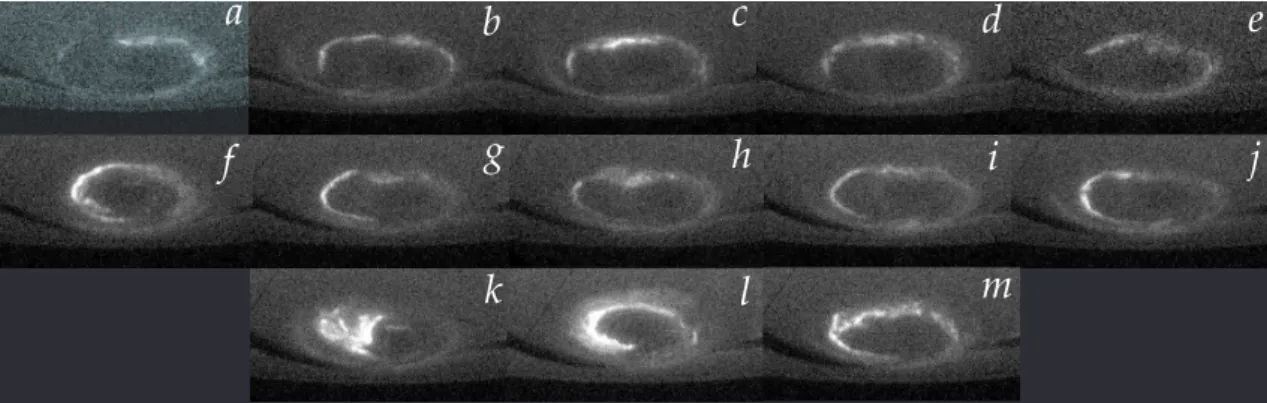 Fig. 2. Ultraviolet images of Saturn’s southern aurora from HST-STIS obtained on 8, 10, 12, 14, 16, 18, 20, 21, 23, 24, 26, 28, and 30 January 2004 (panels a to m, respectively)
