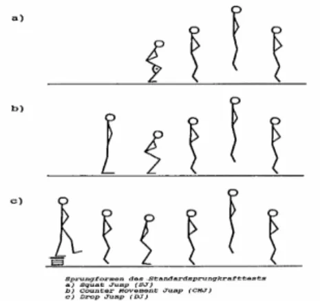 Figura 8 –  Representação esquemática das três provas de impulsão vertical. A) Squat Jump; B)  Counter-movement Jump e C) Drop Jump.