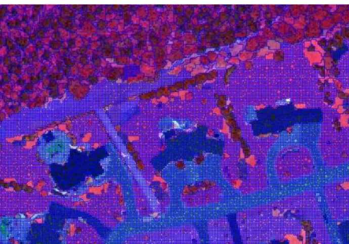 Figure 3. Results of twice multi-resolution segmentation using  different scale parameter 5 and 1 