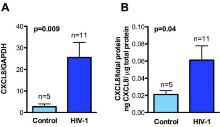 Figure 1. CXCL8 levels are elevated in brain lysates of HIV-1 infected patients. Human brain mRNA and protein lysates collected from frontal cortex of HIV-1 infected individuals and age matched controls were analyzed for CXCL8 levels