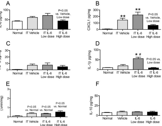 Figure 5. Lung proinflammatory cytokines, lung MPO activity, and lung IL-10 after intratracheal (IT) IL-6 to healthy mice