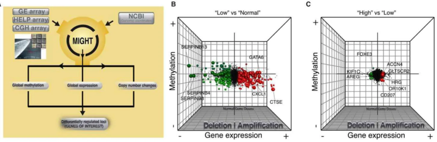 Figure 3. Global integrative analysis of transcriptomic, epigenomic, and DNA copy number data