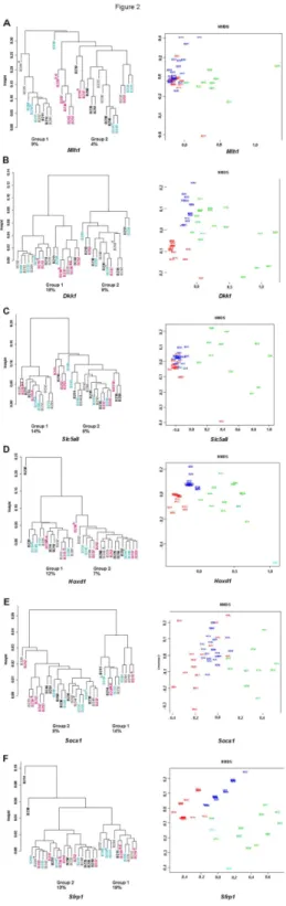 Figure 2.   Methylation clusters and the NMDS analysis of the methylation data.  Using the Chipster’s Dendrogram tool, two distinct clusters, the higher (Group 1) and the lower methylation cluster (Group 2) were observed at tp1