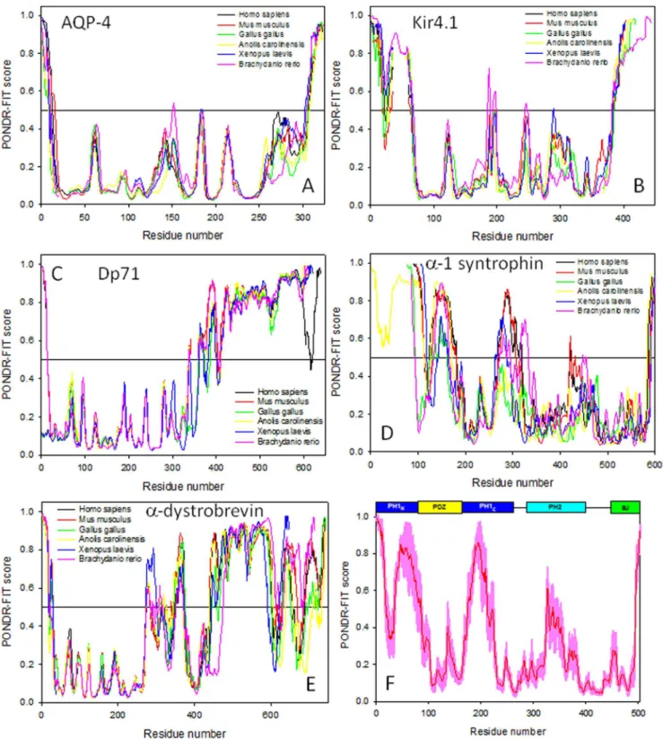 Figure 2. Abundance of intrinsic disorder in proteins from six vertebrate DAPCs. A. AQP-4; B