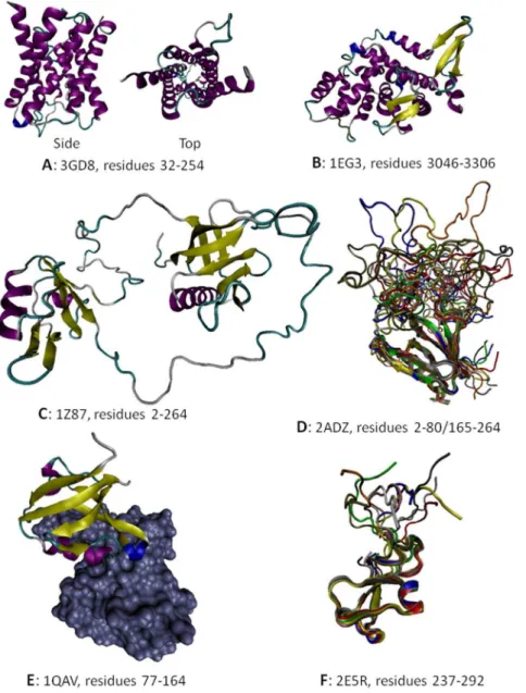 Figure 4. Structural information on some members of the dystrophin-associated protein complex: A