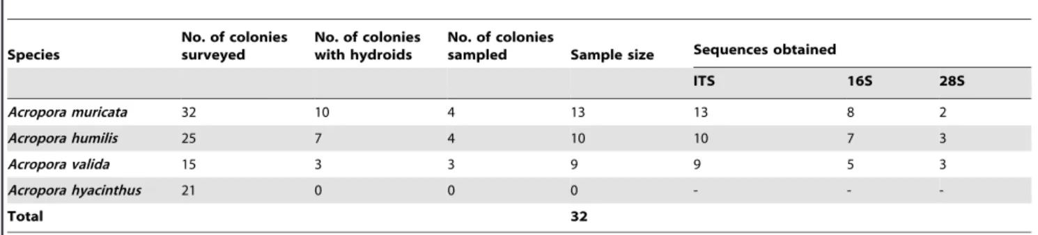 Table 1. Information regarding coral samples surveyed in situ and collected from Chinwan Inner Bay (CIB), Penghu, Taiwan, and markers used for each sample.