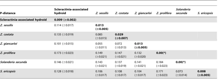 Table 4. Intra- and interspecific estimates of evolutionary divergence between Scleractinia-associated Zanclea and other species, expressed as the pairwise distance based on 28S markers.