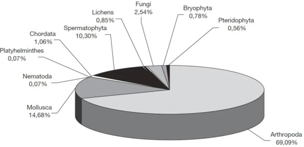 Figura 8 - Proporção de taxa endémicos (espécies e subespécies) dos vários grupos de fungos, plantas e animais  terrestres dos arquipélagos da Madeira e Selvagens