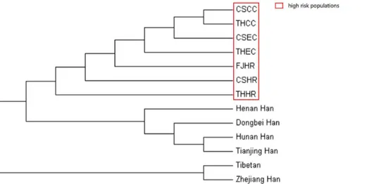 Figure 5. Y-STR network of haplogroup O3a3c1-M117 for patients and high-risk populations belonging to cluster 1 in figure 2