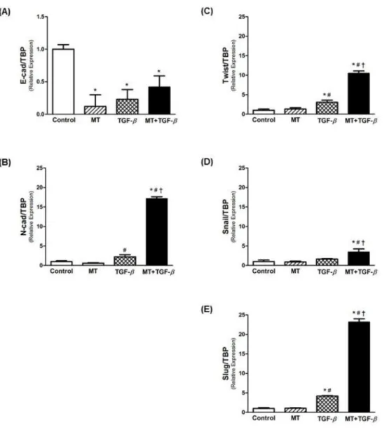 Fig 3. Real-time PCR for EMT markers. Relative mRNA levels of (A) E-cadherin (epithelial marker), (B) N- N-cadherin (mesenchymal marker), and (C-E) EMT-associated transcriptional factors (Twist, Snail and Slug).