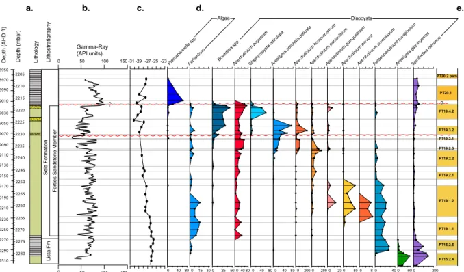 Fig. 2. Data from well 22/11-N1: (a) lithostratigraphy/lithology, (b) gamma-ray log, (c) carbon isotope data (δ 13 C TOC ), (d) selected distri- distri-bution (specimen counts) of regional dinocyst bioevents, and (e) applied regional biostratigraphic zonat
