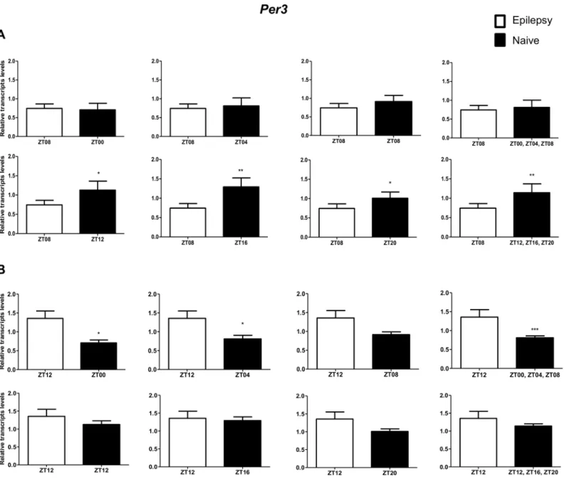 Fig 5. Impact of diurnal variation on Per3 expression analysis in hippocampus of epileptic rats