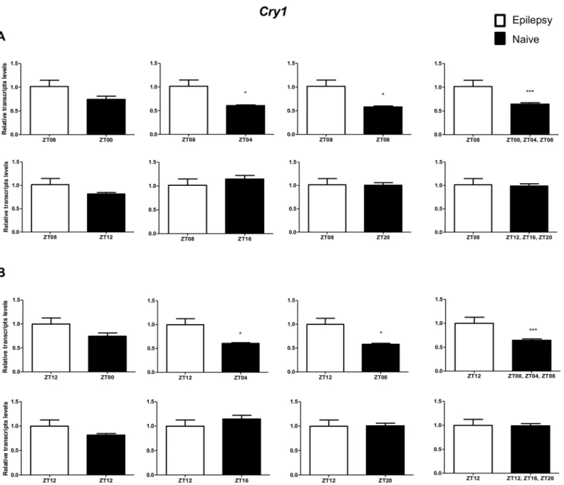 Fig 7. Impact of diurnal variation on Cry1 expression analysis in hippocampus of epileptic rats