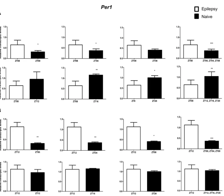 Fig 9. Impact of diurnal variation on Per1 expression analysis in hippocampus of epileptic rats