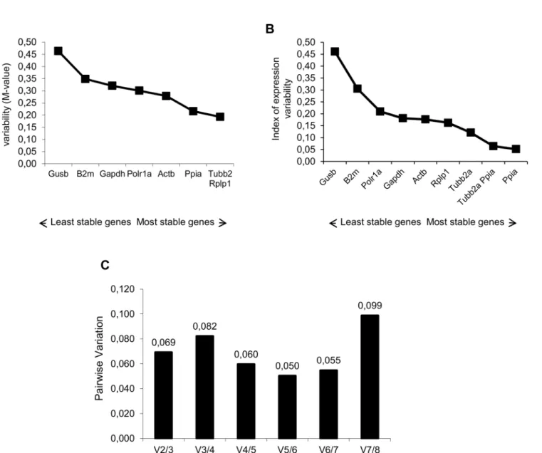 Fig 1. Selection of the most suitable reference genes for circadian analysis in the hippocampus of rats