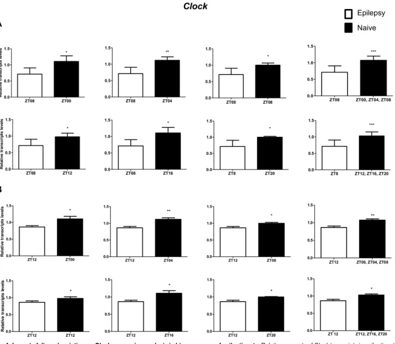 Fig 4. Impact of diurnal variation on Clock expression analysis in hippocampus of epileptic rats