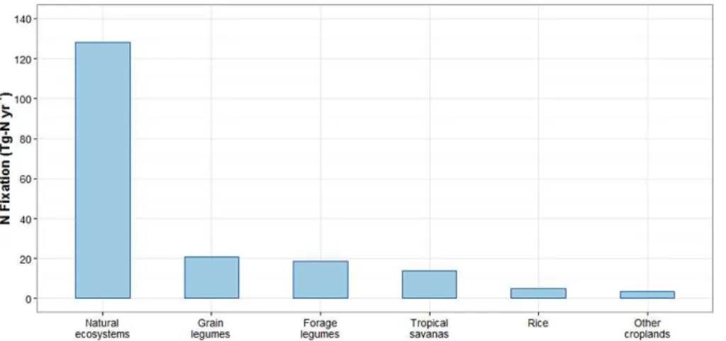 Figure 1. Summary of estimated global terrestrial contributions to biological N fixation in 2000.