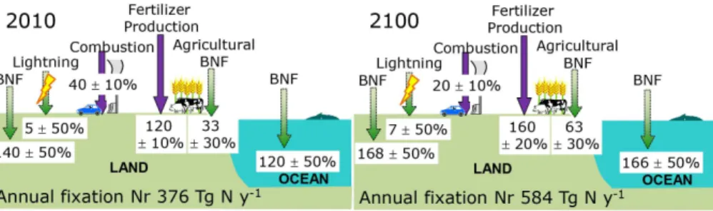 Figure 3. Global biological nitrogen fixation in natural ecosystems and by human activity in 2010 (left) and 2100 (right).