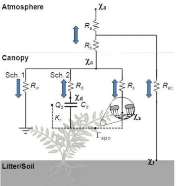 Figure 4. A resistance analogue of NH 3 exchange including cuticular, stomatal and pathways to soil (Sutton et al., 2013b)