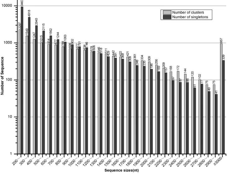 Table 1. Summary of the transcriptome of Gerbera hybrida ray florets.
