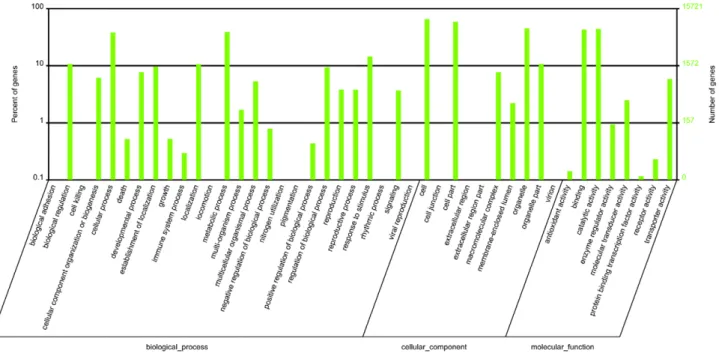 Figure 3. GO categories of the UniGenes. The UniGenes were annotated in three categories: biological processes, cellular components and molecular functions.