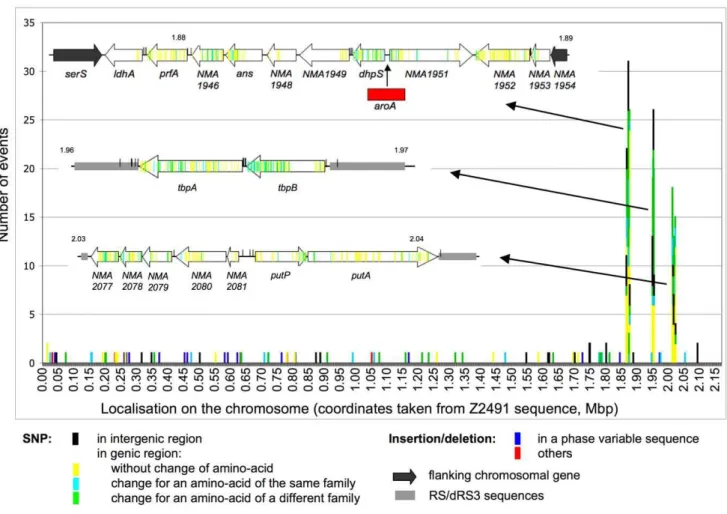 Figure 2. Distribution of the genetic differences (SNP and insertions/deletions) between Z2491 and Z5463