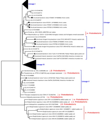 Fig. 3. Hierarchical cluster analysis of the nitrogen-fixing bacterial communities in the study region