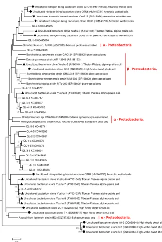 Fig. 4b. The subtree displays the phylogeny of lineage I.