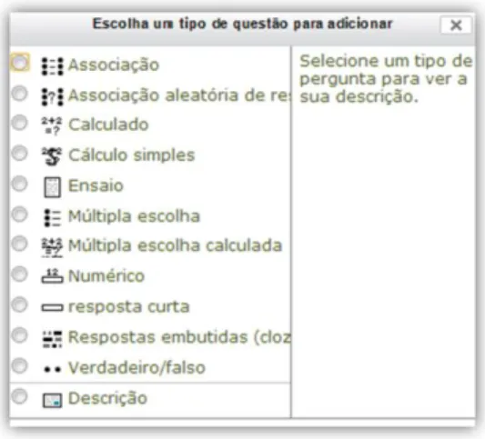 Figura 1 – Opções de questões disponíveis para construção de questionário no Moodle 