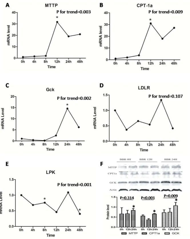 Fig 5. A-E) Altered expression of genes closely related to glucose and lipid metabolism in liver of SD rats