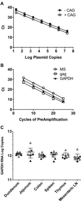 Figure 2. Validation of TaqMan PCR for MS mRNA, multiplex preamplification PCR, and distribution of GAPDH RNA in macaque tissues