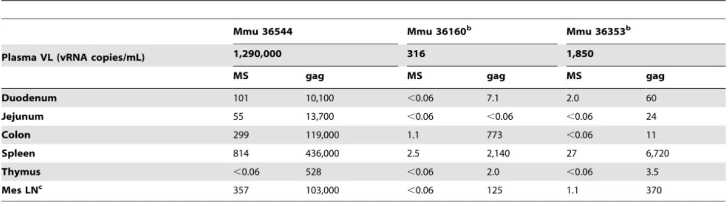 Table 3. MS mRNA and gag RNA analysis in macaques with plasma virus loads .50 vRNA copies/mL at necropsy a .